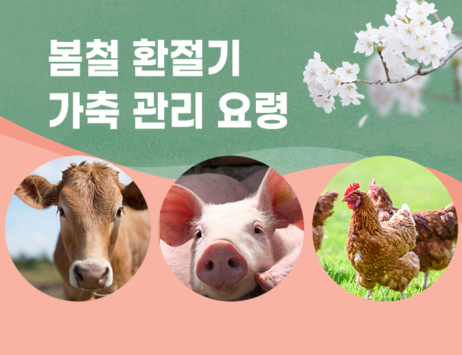 봄철 환절기 가축관리요령