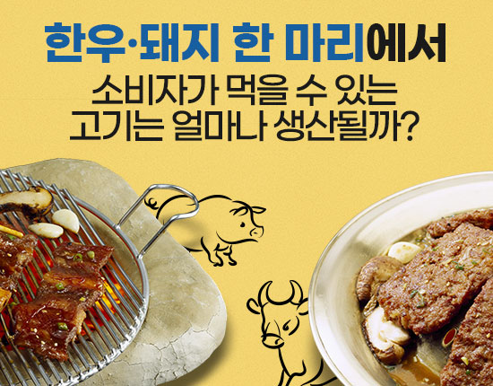 한우∙돼지 한 마리에서 소비자가 먹을 수 있는 고기는 얼마나 생산될까?