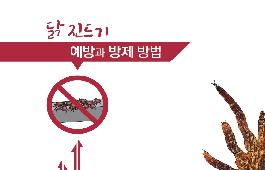 [새창]닭 진드기 예방과 방제 방법
