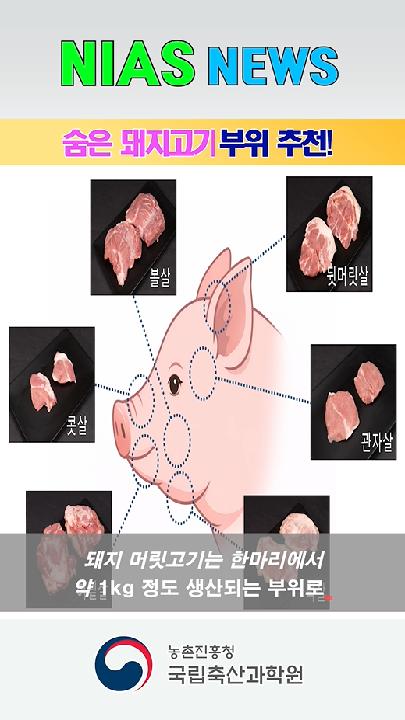 nias news_숨은 돼지부위 추천
