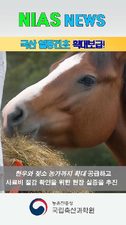 nias news_국산 열풍건초 확대