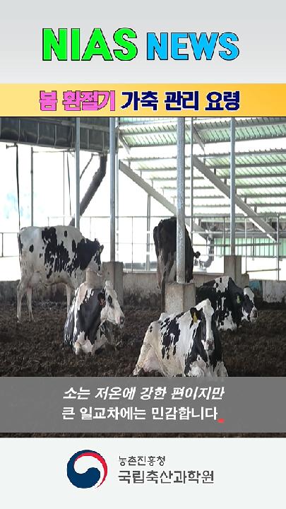 nias news_봄 환절기 가축관리 요령