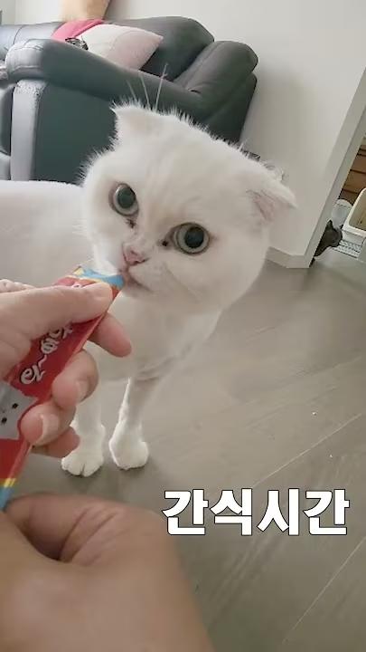 간식시간