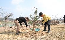 식목행사(2026.3.25)