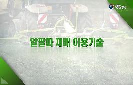 [새창]알팔파 재배 이용기술