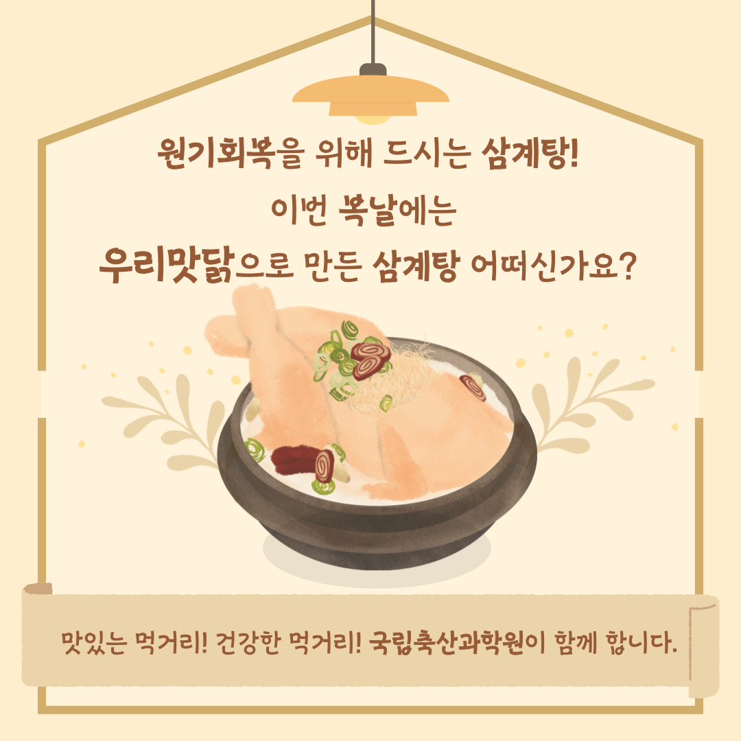 원기회복을 위해 드시는 삼계탕! 이번 복날에는 우리맛닭으로 만든 삼계탕 어떠신가요? 맛있는 먹거리! 건강한 먹거리! 국립축산과학원이 함께 합니다.