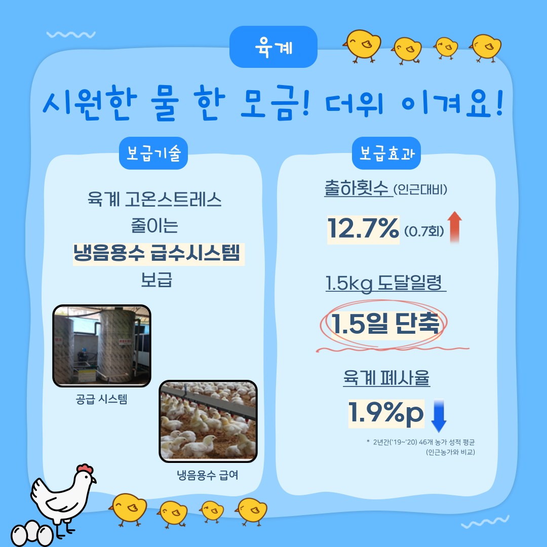 육계 시원한 물 한 모금! 더위 이겨요! 보급기술 육계 고온스트레스 줄이는 냉음용수 급수시스템 보급 공급 시스템 및 냉음용수 급여 사진 보급효과 출하횟수(인근대비) 12.7%(0.7회) 증가 1.5kg 도달일령 1.5일 단축 육계 폐사율 1.9%p 감소 * 2년간('19~'20) 46개 농가 성적 평균(인근농가와 비교)