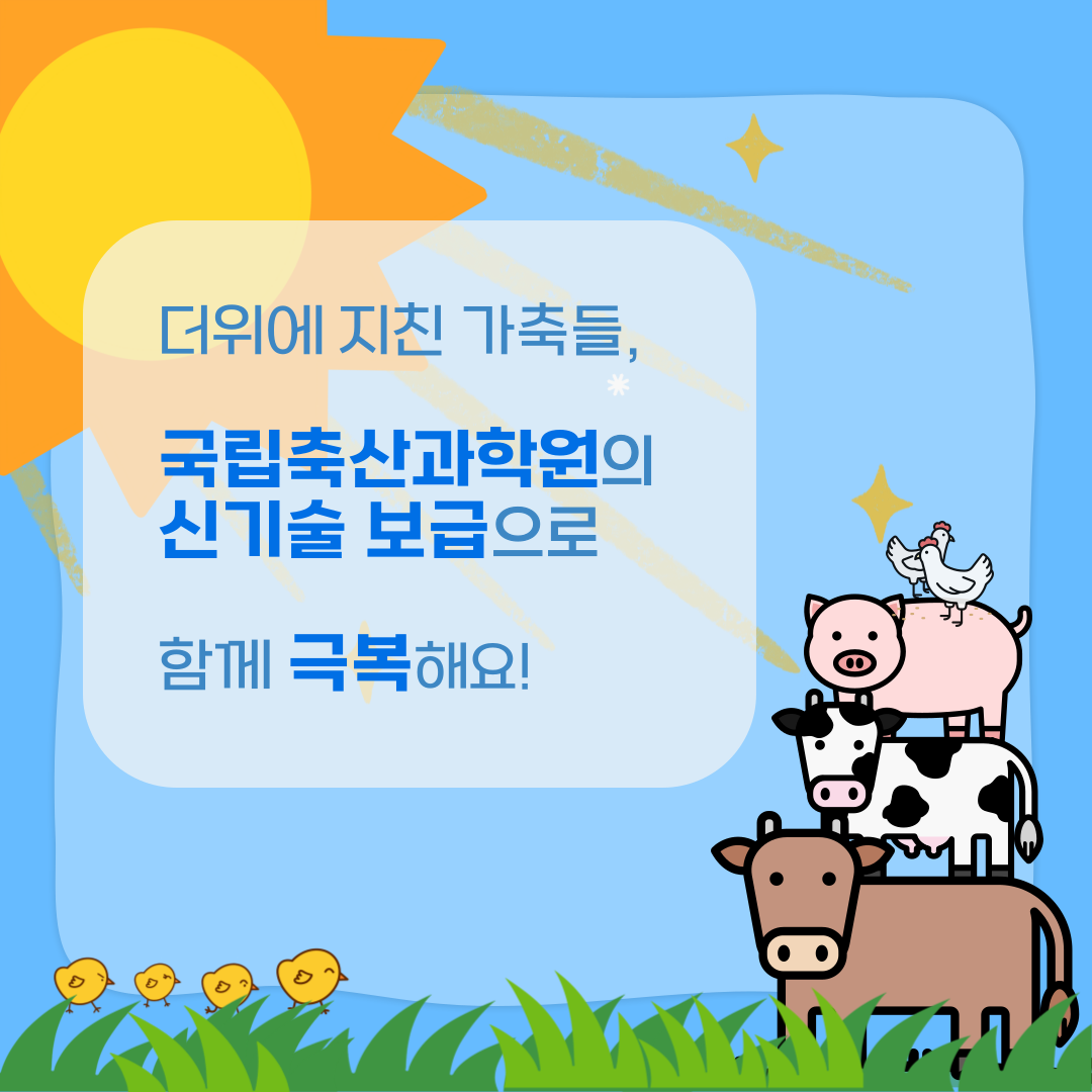더위에 지친 가축들, 국립축산과학원의 신기술 보급으로 함께 극복해요!