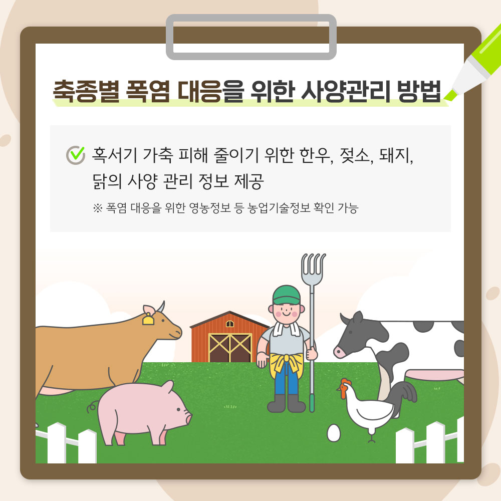 축종별 폭염 대응을 위한 사양관리 방법 혹서기 가축 피해 줄이기 위한 한우, 젖소, 돼지, 닭의 사양 관리 정보 제공 ※ 폭염 대응을 위한 영농정보 등 농업기술정보 확인 가능