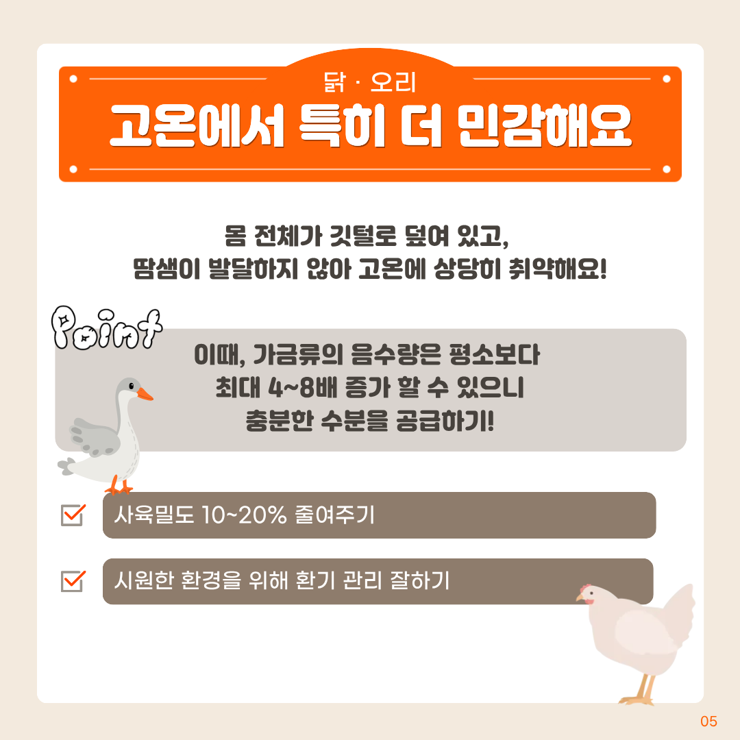 닭 · 오리 고온에서특이더민감매요 몸 전체가 깃털로 덮여 있고, 땀샘이 발달하지 않아 고온에 상당히 취약해요! point 이때, 가금류의 음수량은 평소보다 최대 4~8배 증가할 수 있으니 충분한 수분을 공급하기! 사육밀도 10~20% 줄여주기 시원한 환경을 위해 환기 관리 잘하기