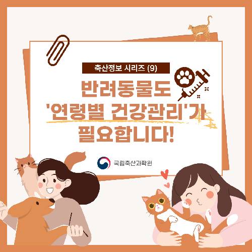 반려동물 나이대별 질병차이 썸네일