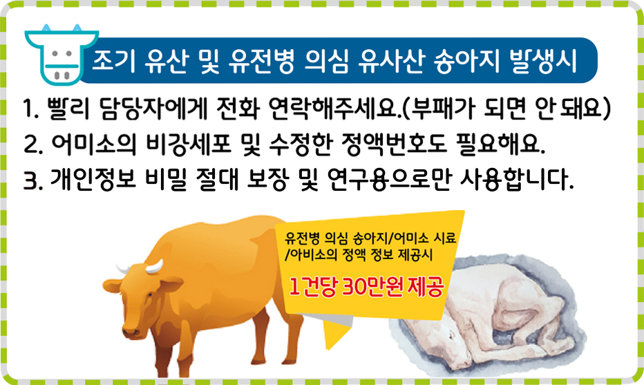 조기 유산 및 유전병 의심 유사산 송아지 발생시
1. 빨리 담당자에게 전화 연락해주세요
2. 어미소의 비강세포 및 수정한 정액번호도 필요해요.
3. 개인정보 비밀 절대 보장 및 연구용으로만 사용합니다.