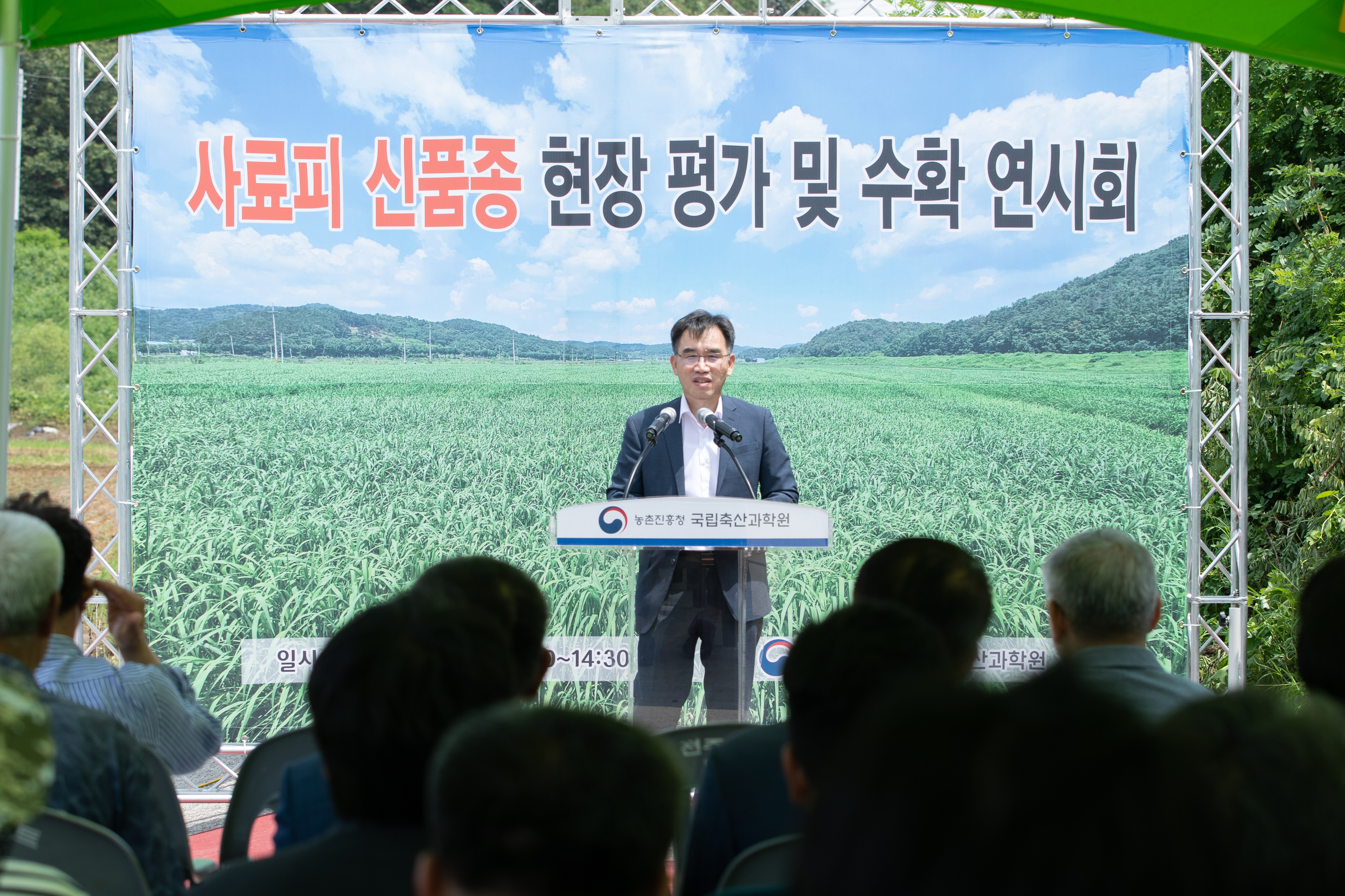 사료피 신품종 현장 평가회(2025.08.05) 사진1