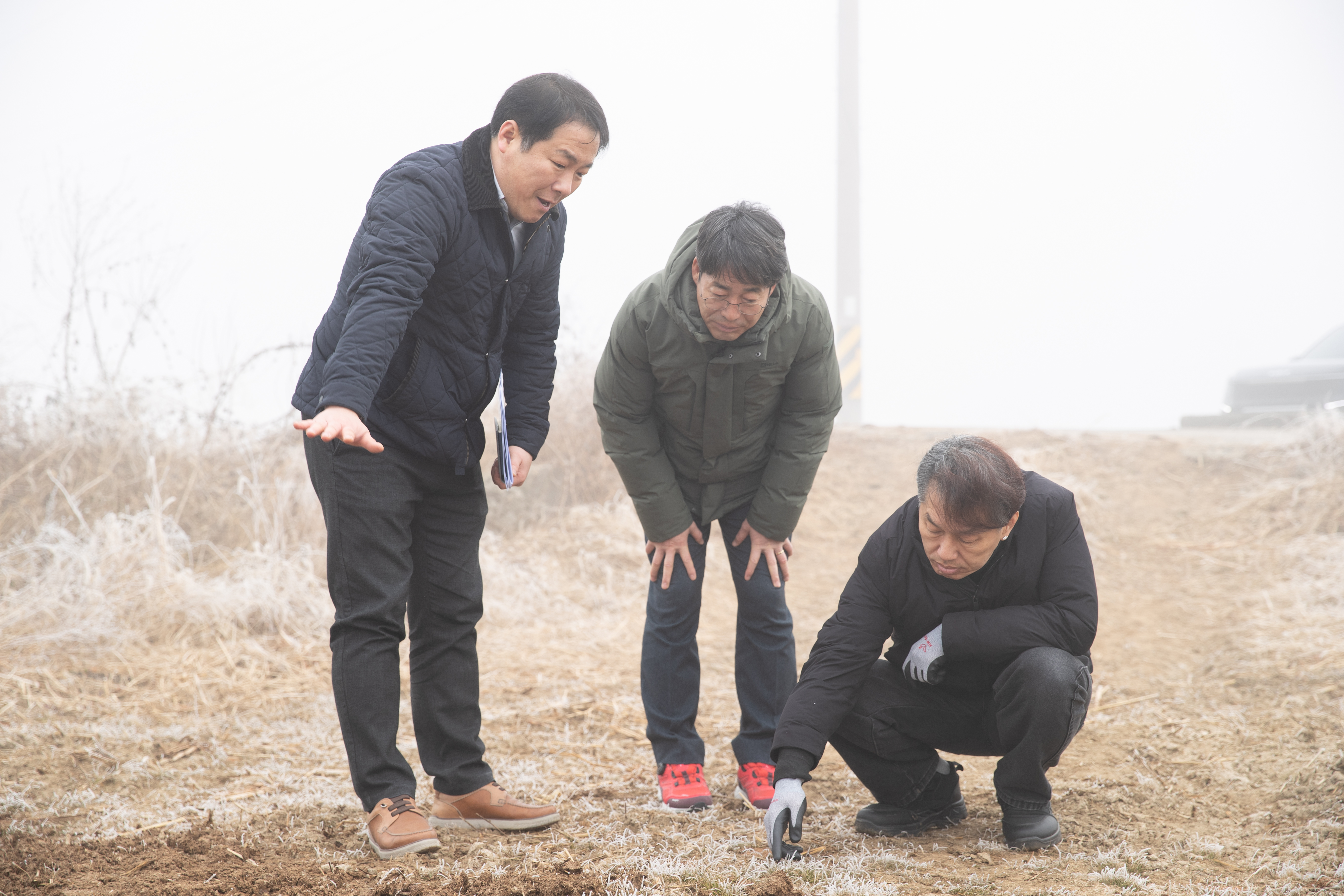 동계 사료작물 신품종 보급 현장 점검(2026.2.12) 사진1