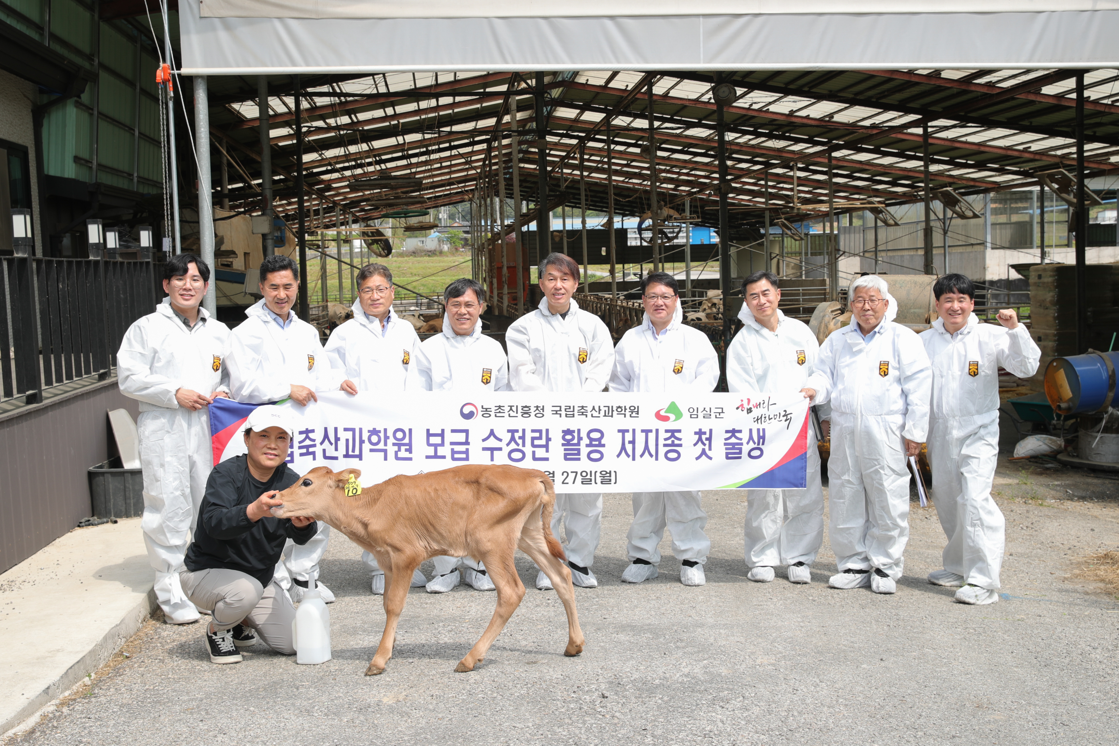 축산원 보급 수정란 활용 저지종 첫 출생(2026.4.27) 사진3